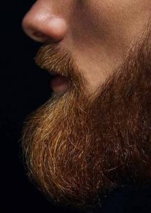 benefici barba plus